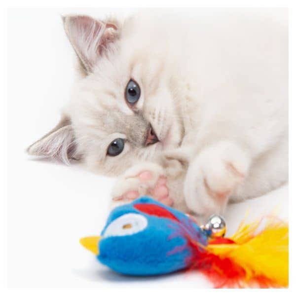 Catit Play Pirates Catnip Toy - Parrot