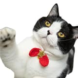 Exquisite Pets Collar Fine Workmanship Woolen Yarn Decorative Cute Bell Cats Jewelry Collar for Home - white